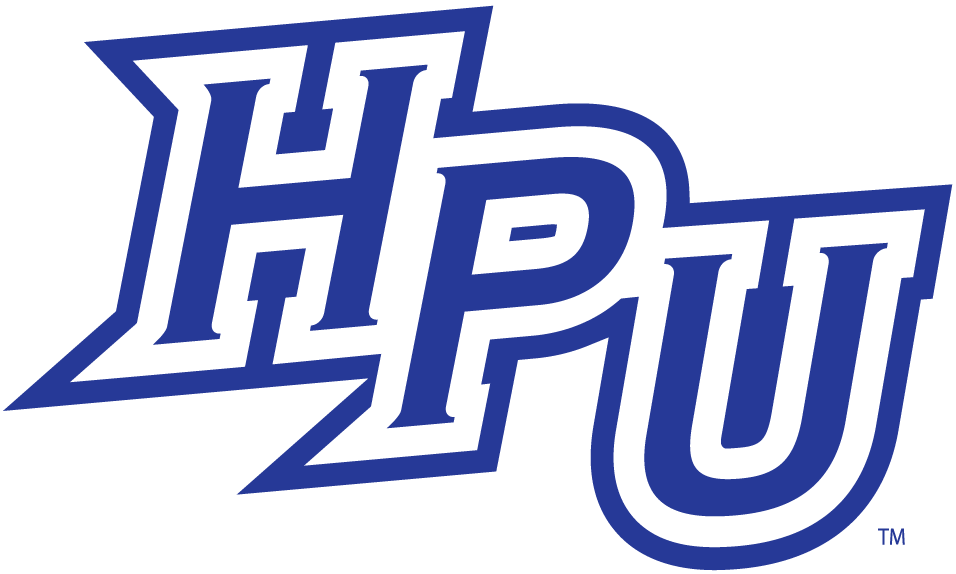High Point Panthers 2004-2011 Alternate Logo v5 iron on transfers for clothing